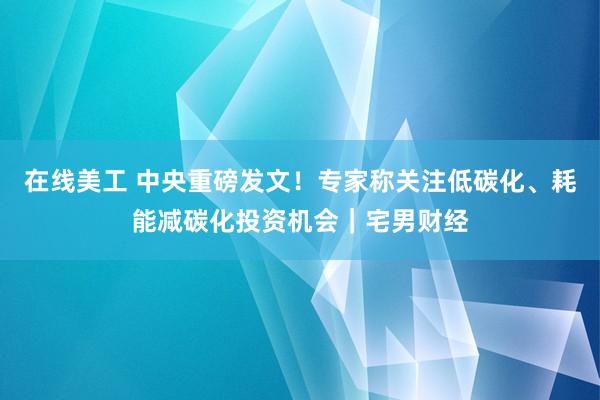 在线美工 中央重磅发文！专家称关注低碳化、耗能减碳化投资机会｜宅男财经