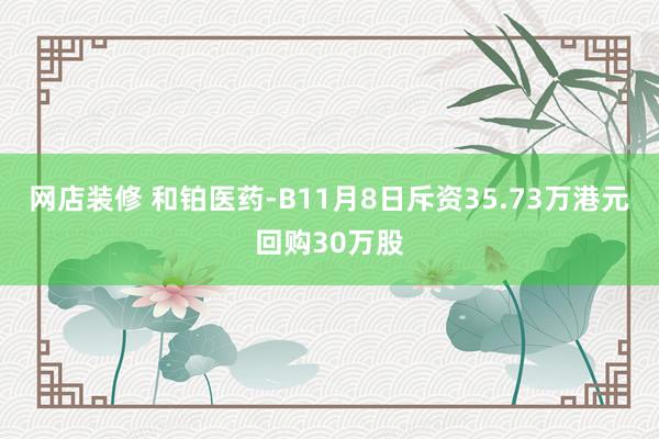 网店装修 和铂医药-B11月8日斥资35.73万港元回购30万股